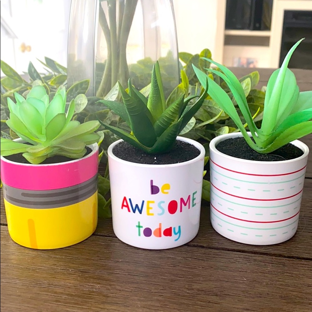 Target Tabletop Succulents
